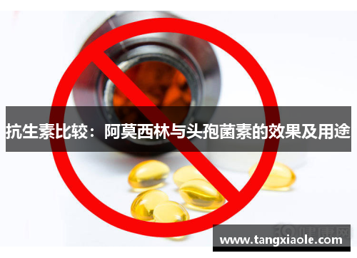 抗生素比较：阿莫西林与头孢菌素的效果及用途
